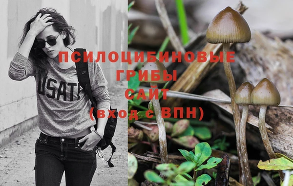 винт Нягань
