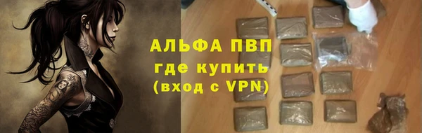 крисы Вязьма