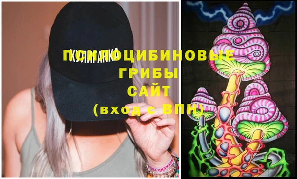 крисы Вязьма