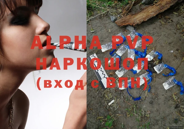 крисы Вязьма